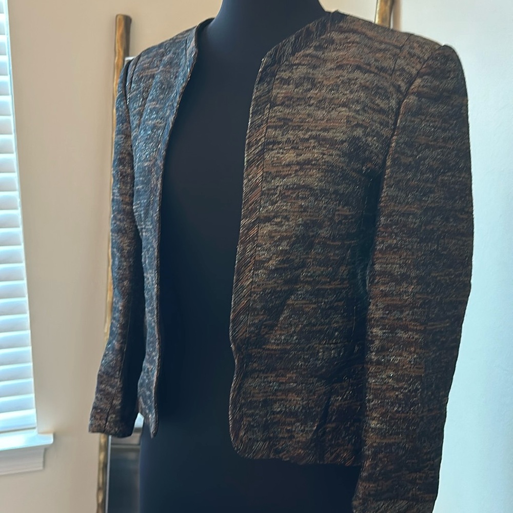 Wilfred Aritzia blazer